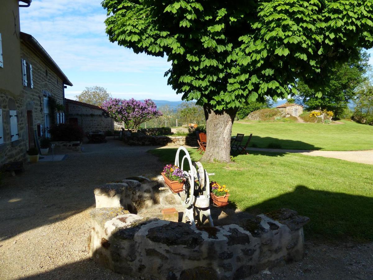 Chez Tiane Puy De Dome Bed and Breakfast Saint-Flour  Eksteriør billede