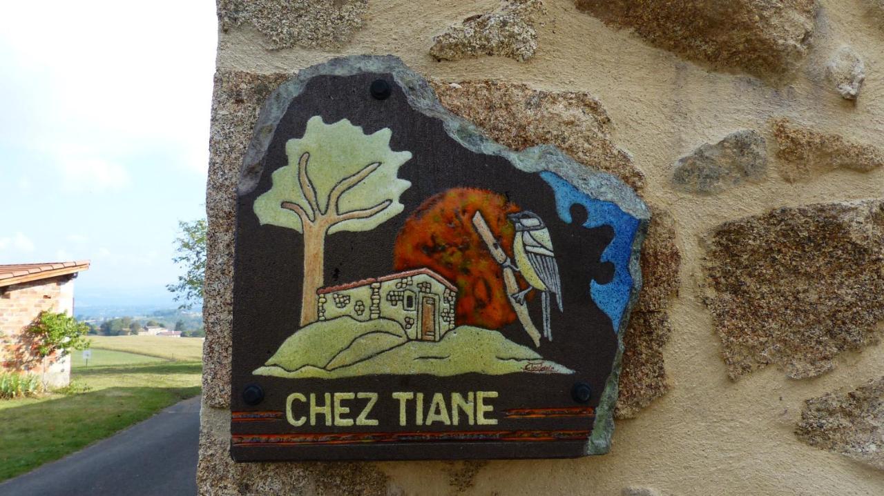 Chez Tiane Puy De Dome Bed and Breakfast Saint-Flour  Eksteriør billede